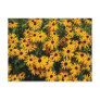 Field of Flowers Post Cards