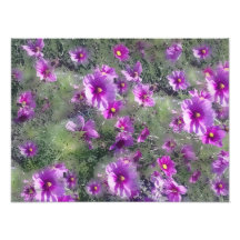 Field of flowers  Print Photo