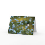 Field of Forget-Me-Not Flowers Card
