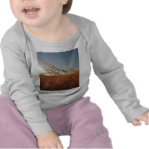Field of Grain Tee Shirt