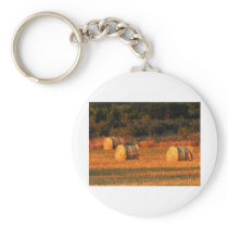 Field of hay key chains