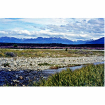 Field Of Lupins And Southern Alps, South Island Cut Outs