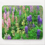 Field of Lupins Mouse Pad