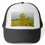 Field Of Oilseed Rape hats