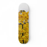 Field Of Oilseed Rape skateboards