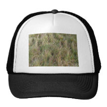 Field of Partial Dry Grass Mesh Hat