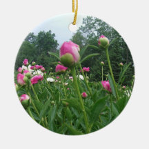 Field of Peonies Ornament / Pink Peony Flower Buds