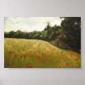 Field of Poppies in Muhumaa posters