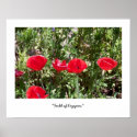 Field of Poppies posters