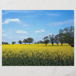 Field of rape, Surrey, England Custom Flyer