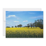 Field of rape, Surrey, England invitations