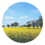 Field of rape, Surrey, England stickers