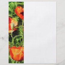 Field of Red Poppies Flyer Design