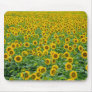 Field of Sunflowers Mouse Pad