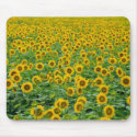 Field of Sunflowers Mouse Pad mousepads