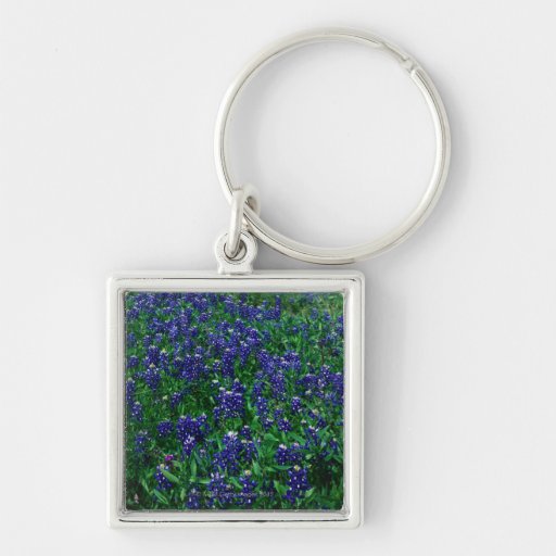 Field of Texas Bluebonnets Key Chains