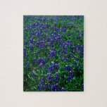 Field of Texas Bluebonnets Puzzle