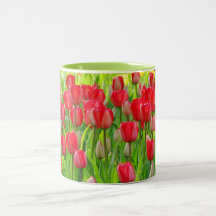 Field of tulips Mug