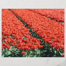 Field of tulips personalized flyer