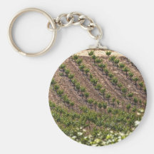 Field Of Vines Key Chain