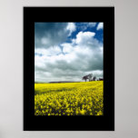 Field of yellow posters