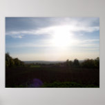 Field on a Sunny Day posters