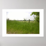 Field posters