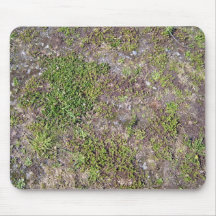 Field with Some Grass Mouse Pads