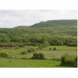 Fields Hills Forests Ireland photo sculptures