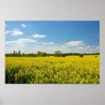 Fields in Yellow posters