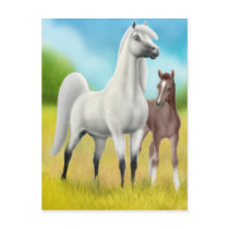 Fields of Gold Arabians Postcard