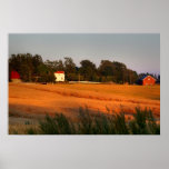 Fields of Gold Print