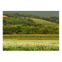 Fields of Grain ATC Business Card Templates