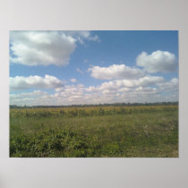 Fields of Green and Skies of Blue Print