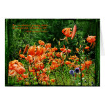 Fields of Lilies Greeting Cards