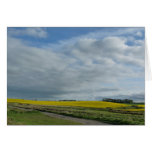 "Fields of Rape Seed Flowers" cards