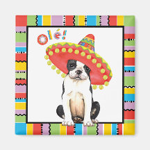 Fiesta Boston Terrier Refrigerator Magnet