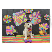 Fiesta Derecho Card