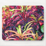 Fiesta of Colour Mousepad