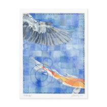 Fifth Day (7 days of creation) Postcard