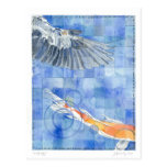 Fifth Day (7 days of creation) Postcard