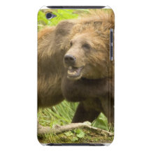 Fighting Bears iTouch Case iPod Touch Case