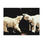 Fighting Bears Postcard