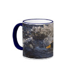 Fighting Mallard Ducks Funny Mugs