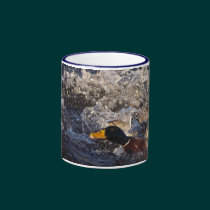 Fighting Mallard Ducks Funny Mugs mugs