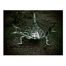 Fighting scorpion artistic postcard