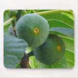 Figs mousepads