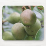 Figs mousepads