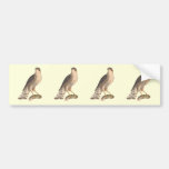 Figure 2 bumper stickers