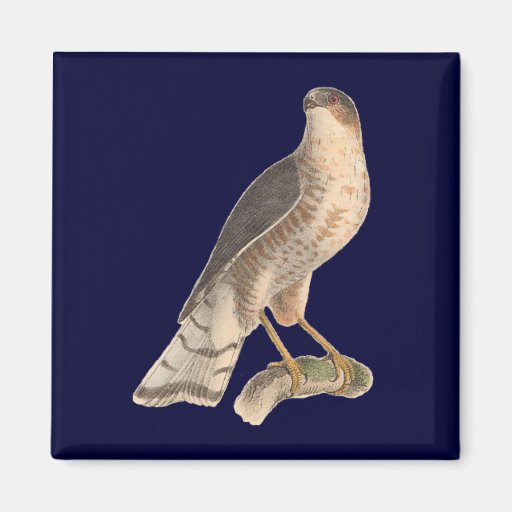 Figure 2 fridge magnet